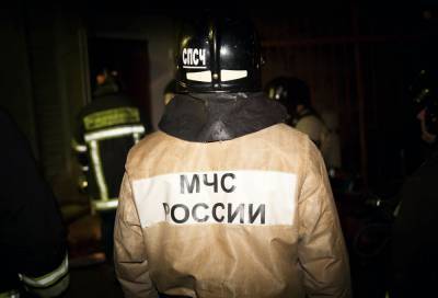 Путин наградил тушившего пожар на "Невской мануфактуре" спасателя посмертно