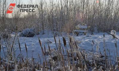 СК установит, почему детям приходится ходить в школу под Новосибирском, преодолевая болото