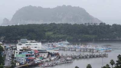 Южная Корея вложит 11,8 млрд рублей в строительство рыбного порта в Приморье