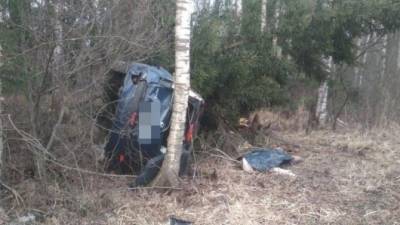 Женщина погибла при опрокидывании машины в Тверской области