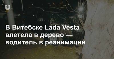 В Витебске Lada Vesta влетела в дерево — водитель в реанимации