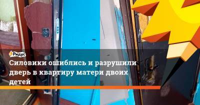 Силовики ошиблись и разрушили дверь в квартиру матери двоих детей - ridus.ru - Алтайский край - Заринск