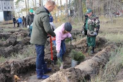 «Сад Памяти» Липецкой области прирастёт четырьмя миллионами деревьев