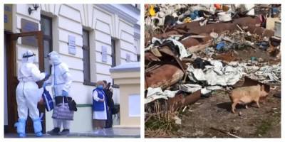 "Запах можете себе представить": возле детской больницы в Харькове нашли "свалку животных", кадры