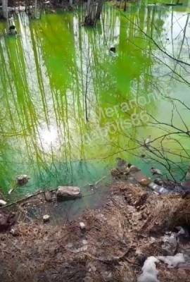 В Нижневартовске в промзоне нашли озеро ядовито-зеленого цвета