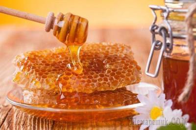 Мёд в сотах — польза и вред, а также лечение от 15 недугов