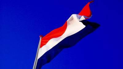Голландский суд опросил представителей концерна "Алмаз-Антей" по делу MH17