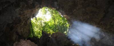 Фекалии летучих мышей из глубин ямайской пещеры раскрыли прошлое Земли