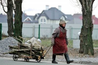 Чтобы победить бедность, в Госдуме хотят разрешить собирать валежник пилами