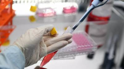 ФМБА за год получило десять патентов на препараты от коронавируса
