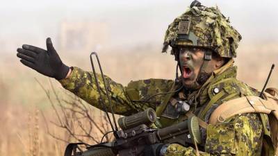 Немецкие СМИ узнали об операции НАТО по "устрашению" России