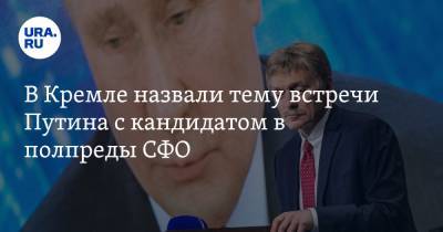 В Кремле назвали тему встречи Путина с кандидатом в полпреды СФО