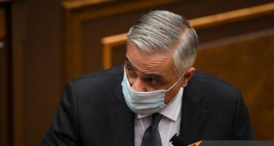 Как и кому помогают власти Армении в период коронавируса – поясняет вице-премьер
