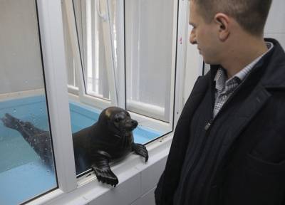 Михаил Романов передал лекарства подопечным Центра изучения и сохранения морских млекопитающих в поселке Репино