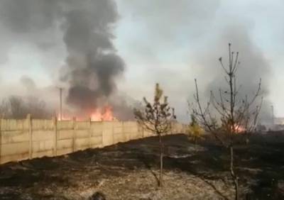 Рязанцы рассказали, что в Спасском районе сгорело полдеревни