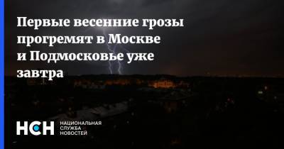 Первые весенние грозы прогремят в Москве и Подмосковье уже завтра