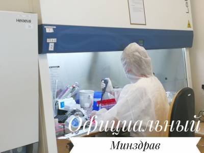 Количество новых случаев коронавируса в Беларуси растет вторые сутки