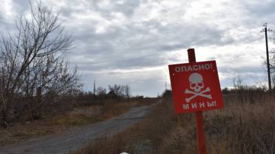ЛНР обвинила ВСУ в установке 300 мин у линии соприкосновения в Донбассе - riafan.ru - ЛНР - Луганск - Золотое