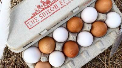 Фермер показал, как хранить куриные яйца: даже производители делают это неправильно