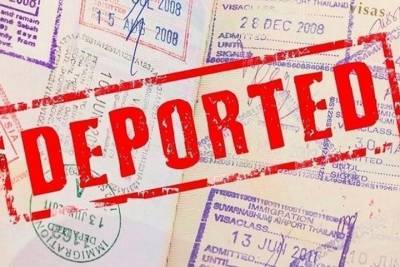 Костромские депортации: отсидевших свои сроки укро-мошенников отправили до хаты