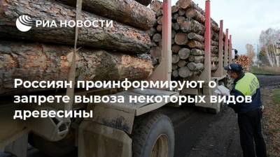 Россиян проинформируют о запрете вывоза некоторых видов древесины