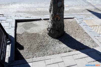 Эксперимент в Южно-Сахалинске показал, что грязь можно не декорировать