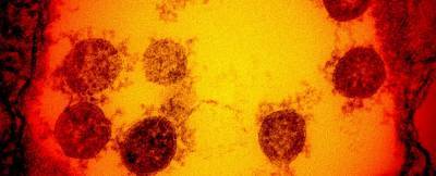 Теперь и бразильский: Ученые рассказали о более заразном штамме коронавируса