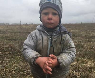 Был в лесу: Под Киевом нашли 2-летнего ребенка, пропавшего сутки назад