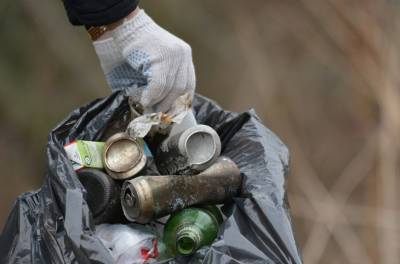 Свалка опасных отходов была обнаружена в Янино