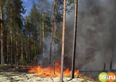 В Гайнском и Чердынском округах Прикамья усилены меры борьбы с лесными пожарами