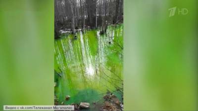 Озеро кислотно-зеленого цвета обнаружили в районе промышленной зоны в Нижневартовске