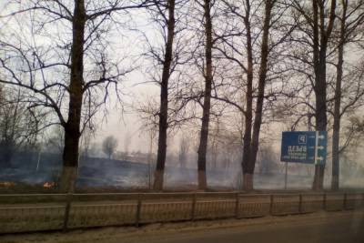 В Брянске загорелась трава напротив ТЦ «Аэрорпарк»