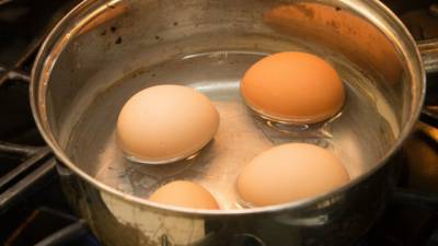 Стоимость десятка яиц на Камчатке возмутила губернатора полуострова