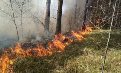 В Тюменской области установлен пожароопасный сезон
