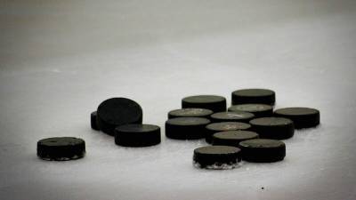 Легенды мирового хоккея могут прилететь в Петербург для участия в матче на льду Невы