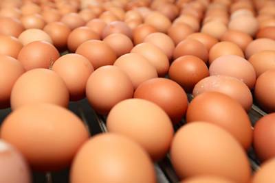 Рост цен на яйца в России объяснили Пасхой