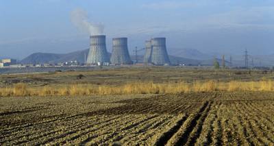 Не пить "неизвестный мацун" - министр пояснил планы по строительству новой АЭС в Армении