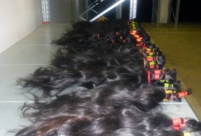 Выборгские таможенники нашли 116 пучков натуральных волос у дальнобойщика