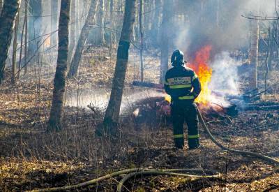 В Петербурге спасатели провели учения по устранению паводков и лесных пожаров