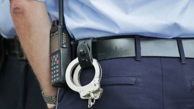 Полиция Подмосковья задержала банду похитителей, требовавших 1,2 млн рублей выкупа