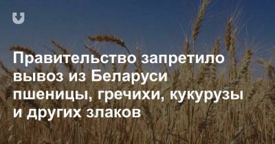 Правительство запретило вывоз из Беларуси пшеницы, гречихи, кукурузы и других злаков
