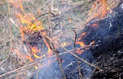 Более 80 раз выезжали тушить траву нижегородские пожарные с начала апреля