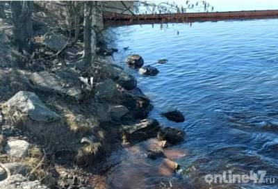 Росприроднадзор ищет источник загрязнения нефтепродуктами бухты «Радуга» в Выборге