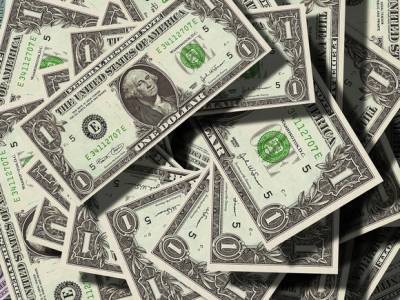 В МИД РФ выразили сомнения в целесообразности применения доллара в международных резервах