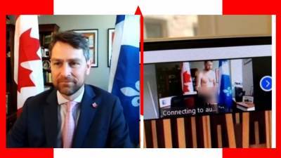 Канадский депутат появился голым в прямой трансляции заседания парламента