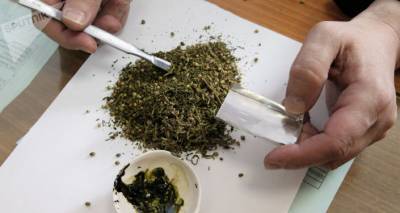 У 54-летнего жителя Котайка обнаружили около 11 кг марихуаны