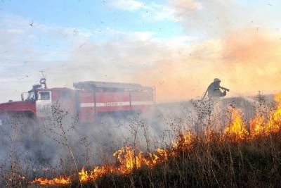 За неделю рязанские пожарные выезжали на тушение сухой травы 417 раз
