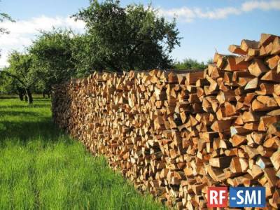 Кабмин Украины предложил заменить газ дровами