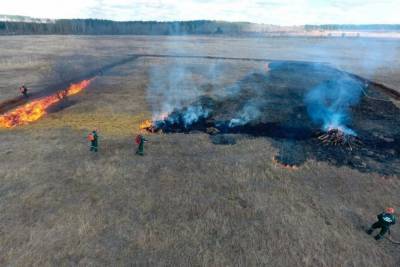 С 16 апреля в Тульской области вводят особый противопожарный режим