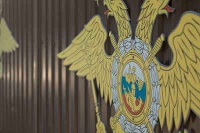 Экс-министра Татарстана обвинили в организации убийства недовольного им жителя